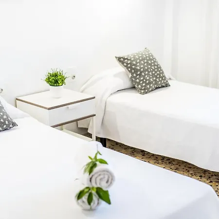 Vakantiehuis Ideal Mallorca - Casa Pinar